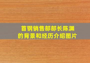 首钢销售部部长陈渊的背景和经历介绍图片