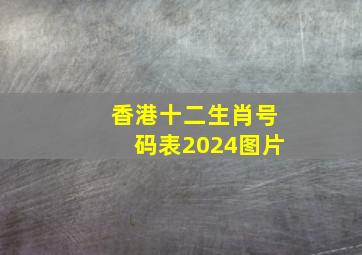 香港十二生肖号码表2024图片