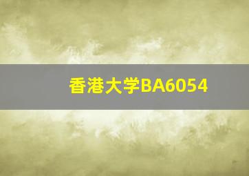 香港大学BA6054