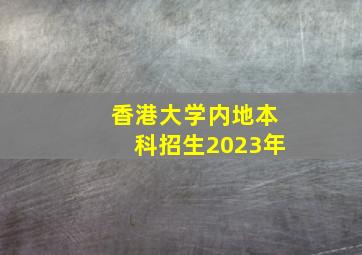 香港大学内地本科招生2023年