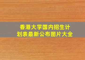 香港大学国内招生计划表最新公布图片大全