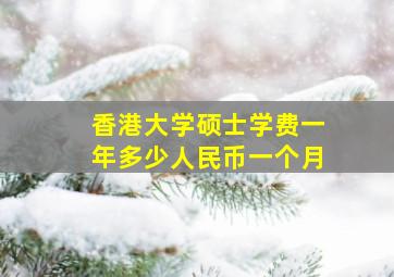 香港大学硕士学费一年多少人民币一个月