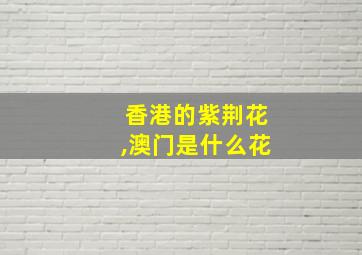 香港的紫荆花,澳门是什么花