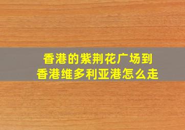 香港的紫荆花广场到香港维多利亚港怎么走