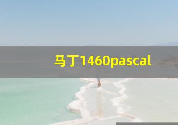 马丁1460pascal