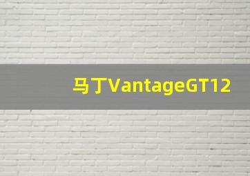 马丁VantageGT12