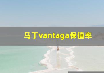 马丁vantaga保值率