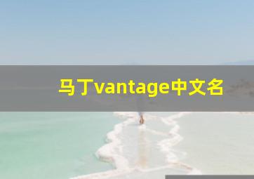 马丁vantage中文名