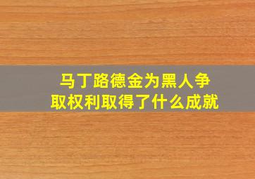 马丁路德金为黑人争取权利取得了什么成就