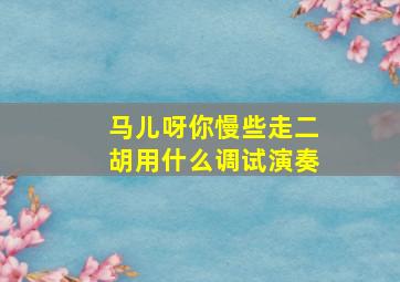 马儿呀你慢些走二胡用什么调试演奏