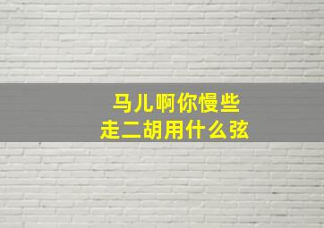 马儿啊你慢些走二胡用什么弦