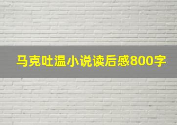 马克吐温小说读后感800字