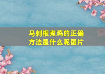 马刺根煮鸡的正确方法是什么呢图片