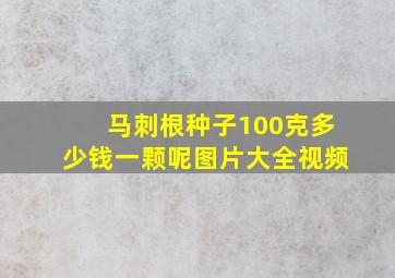 马刺根种子100克多少钱一颗呢图片大全视频