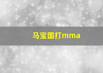 马宝国打mma