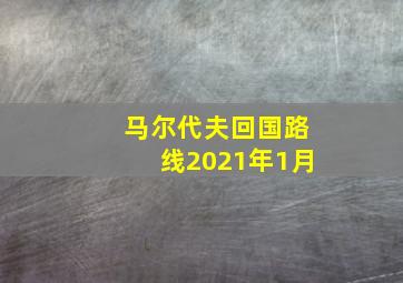 马尔代夫回国路线2021年1月