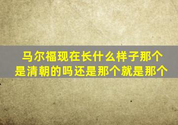 马尔福现在长什么样子那个是清朝的吗还是那个就是那个