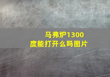 马弗炉1300度能打开么吗图片