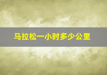 马拉松一小时多少公里