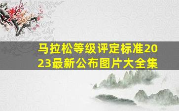 马拉松等级评定标准2023最新公布图片大全集