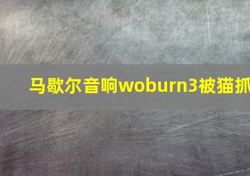 马歇尔音响woburn3被猫抓