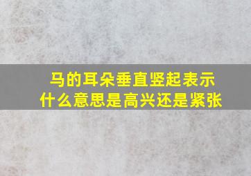 马的耳朵垂直竖起表示什么意思是高兴还是紧张