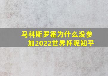 马科斯罗霍为什么没参加2022世界杯呢知乎