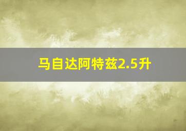 马自达阿特兹2.5升