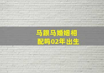 马跟马婚姻相配吗02年出生