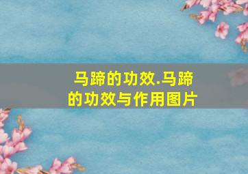 马蹄的功效.马蹄的功效与作用图片