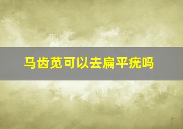 马齿苋可以去扁平疣吗