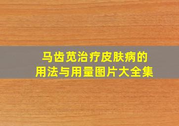 马齿苋治疗皮肤病的用法与用量图片大全集