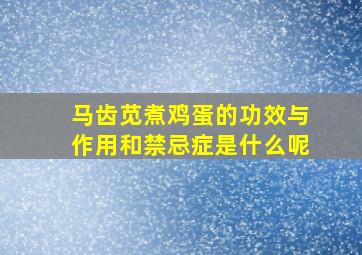 马齿苋煮鸡蛋的功效与作用和禁忌症是什么呢