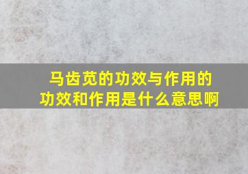 马齿苋的功效与作用的功效和作用是什么意思啊