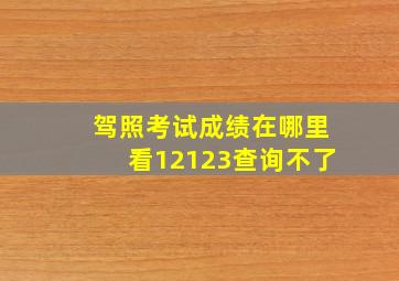 驾照考试成绩在哪里看12123查询不了