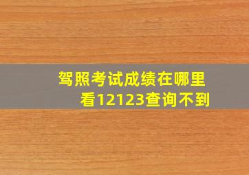 驾照考试成绩在哪里看12123查询不到