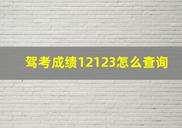 驾考成绩12123怎么查询