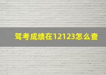 驾考成绩在12123怎么查