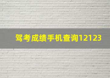 驾考成绩手机查询12123