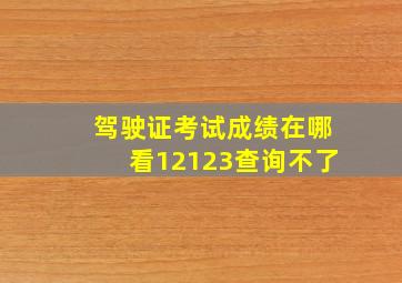 驾驶证考试成绩在哪看12123查询不了