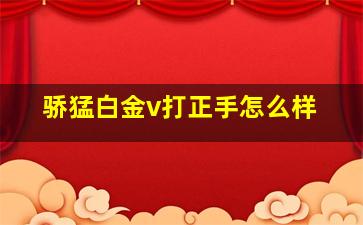 骄猛白金v打正手怎么样