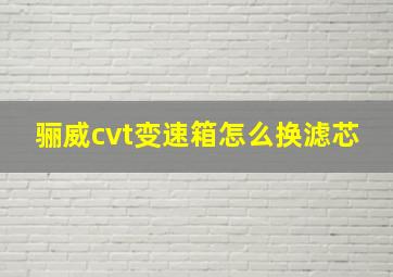 骊威cvt变速箱怎么换滤芯