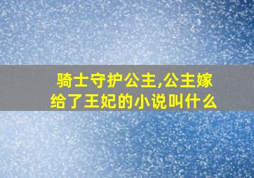 骑士守护公主,公主嫁给了王妃的小说叫什么