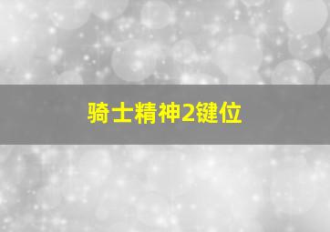 骑士精神2键位