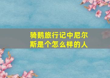 骑鹅旅行记中尼尔斯是个怎么样的人