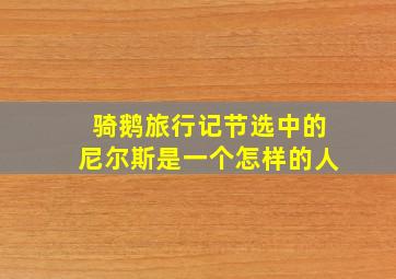 骑鹅旅行记节选中的尼尔斯是一个怎样的人