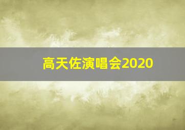 高天佐演唱会2020