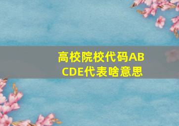 高校院校代码ABCDE代表啥意思