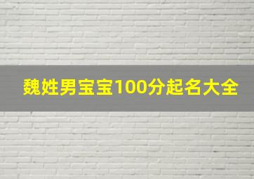 魏姓男宝宝100分起名大全