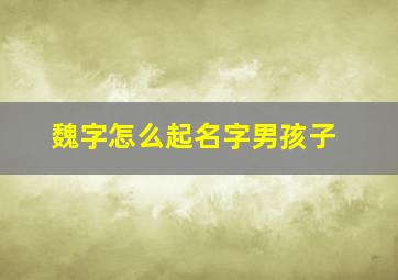 魏字怎么起名字男孩子